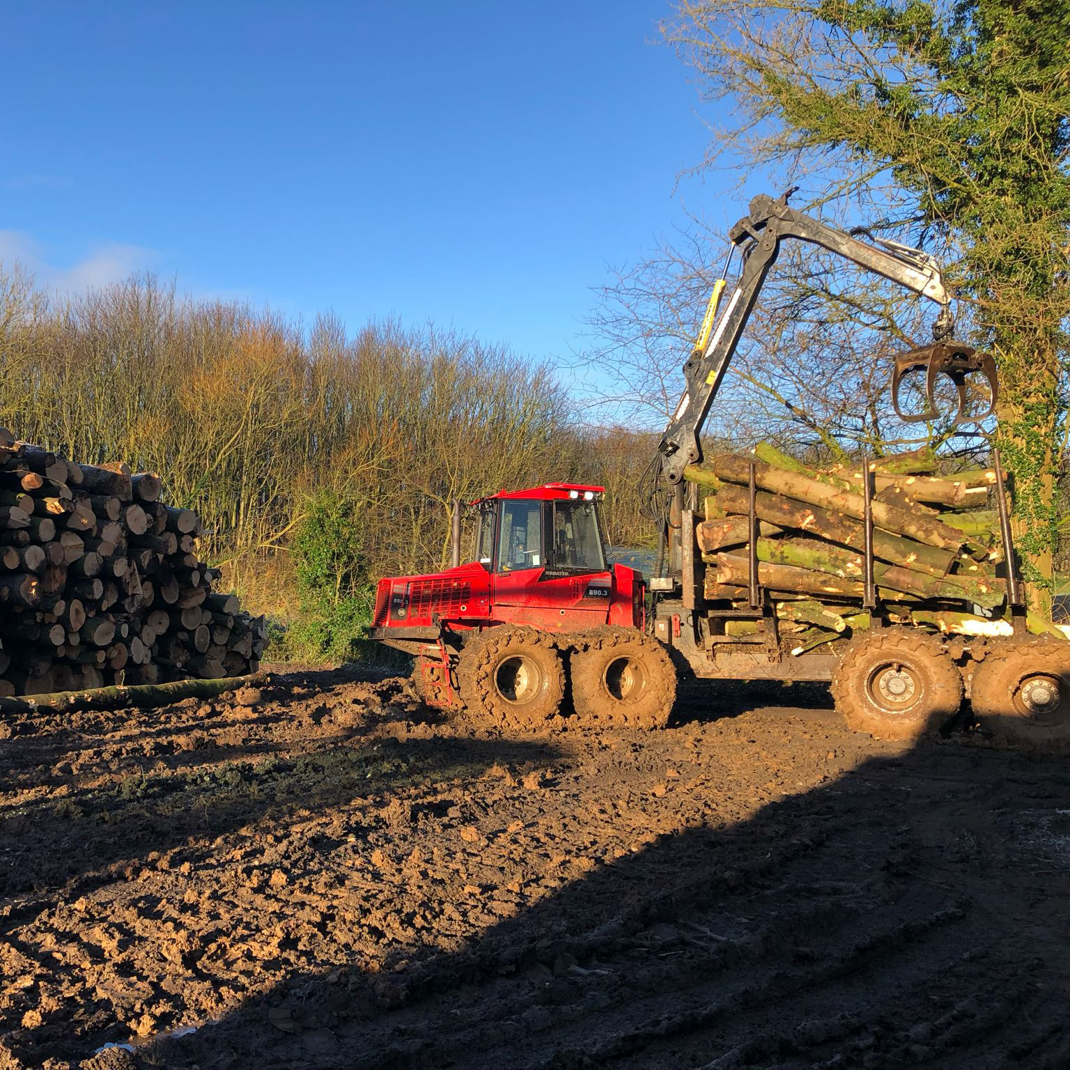 North West Forestry Services